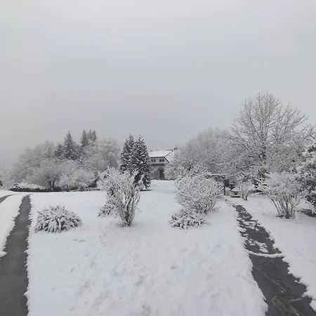 Casa de Férias Chez Madeleine - Maison 11 Pers. Parc Arbore 3000m² *