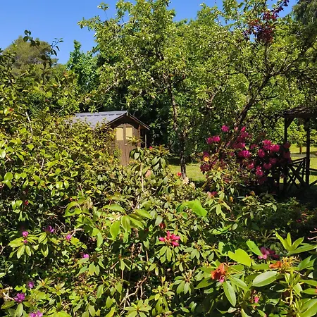 Chez Madeleine - Maison 11 Pers. Parc Arbore 3000m² Tatil Evi